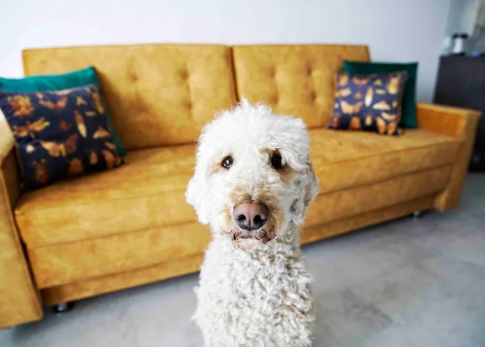 Luxus „goldene Stunde“ アパート *